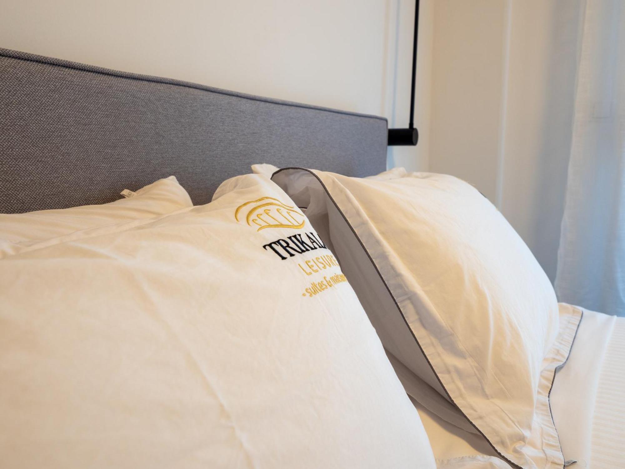 Apartment Leisure Trikala (Thessaly)